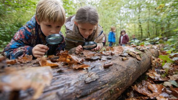 Vacances Automne 2026 !